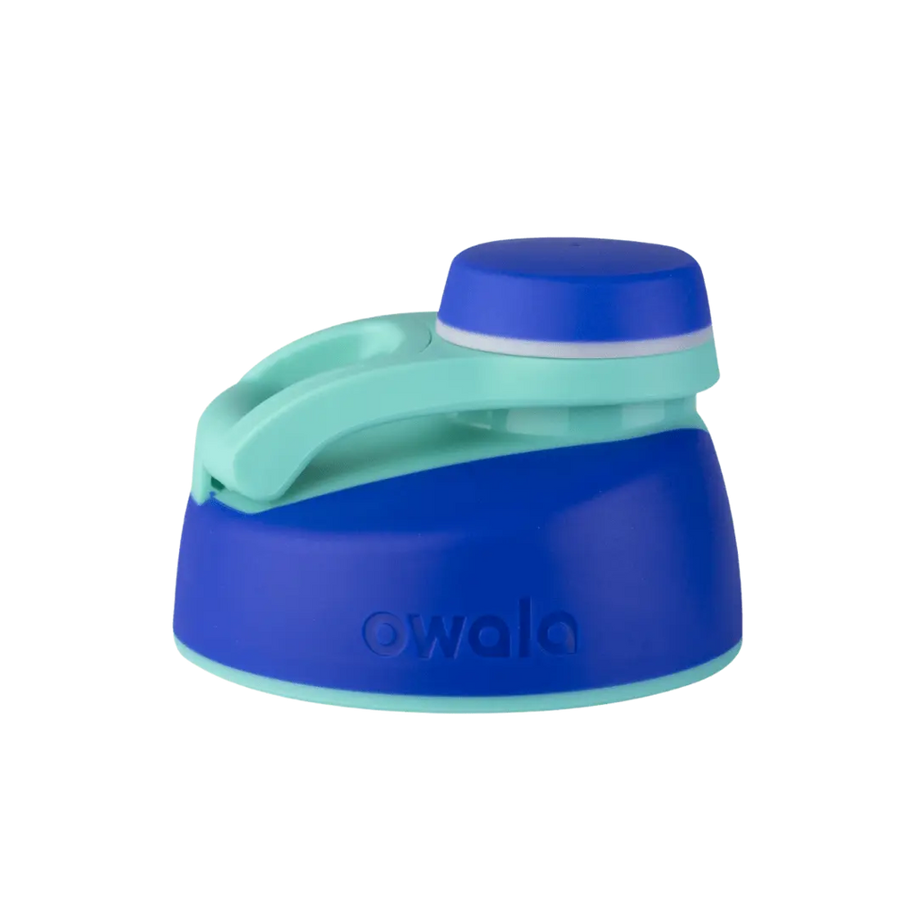 Replacement Lids